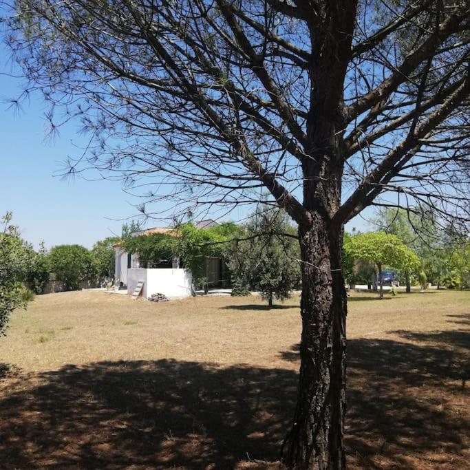 Villa Del Glicine Muro Leccese Eksteriør billede